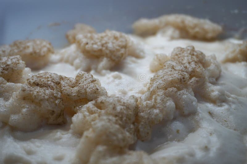 Beer Yeast Foam Alcohol Fermentation Process Stock Image Image of