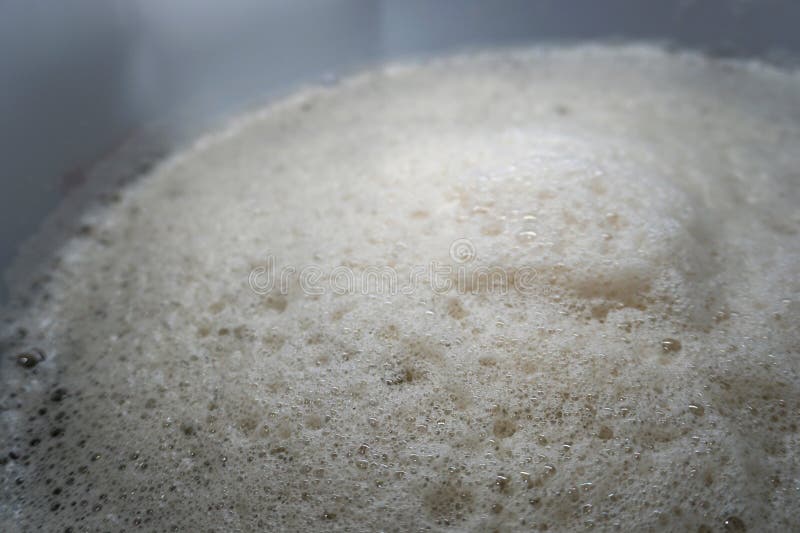 Beer Yeast Foam Alcohol Fermentation Process Stock Photo Image of