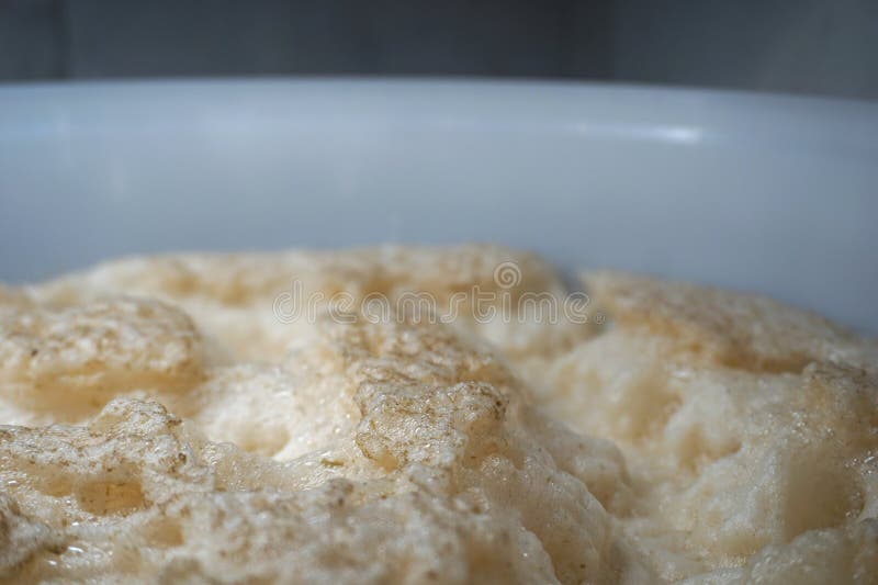 Beer Yeast Foam in Fermenter Alcohol Fermentation Process Stock Photo Image of surface