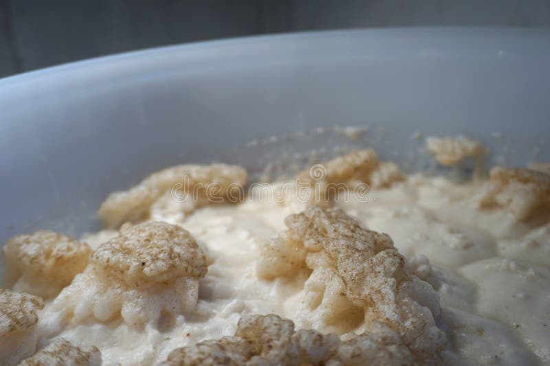 Beer Yeast Foam in Fermenter Alcohol Fermentation Process Stock Photo Image of alcohol