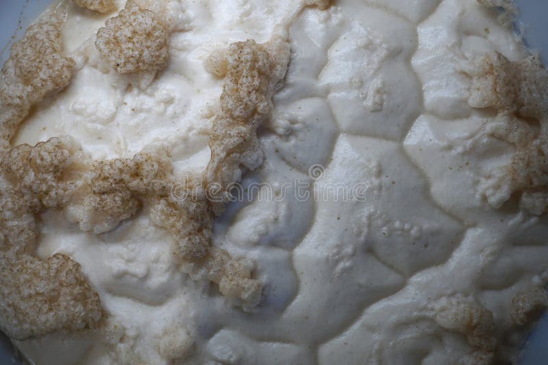 Beer Yeast Foam in Fermenter Alcohol Fermentation Process Stock Image