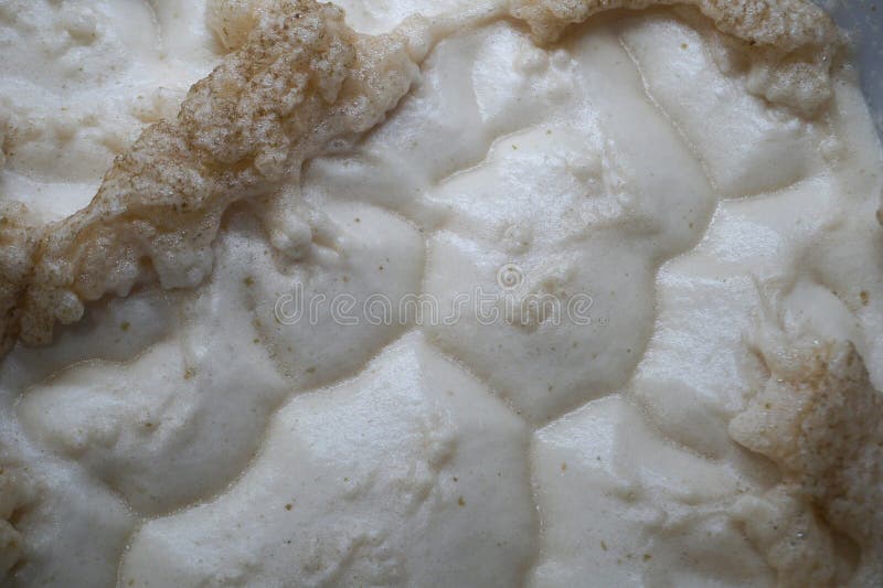 Beer Yeast Foam Top View Alcohol Fermentation Process Stock Photo