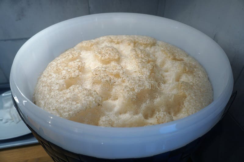 Beer Yeast in Round Plastic Fermenter Home Brewing Concept Stock