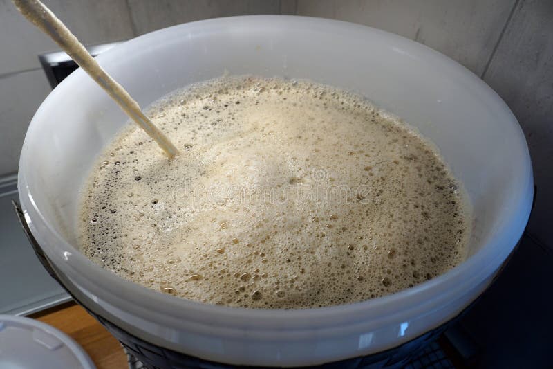 Beer Yeast and Stirrer in Round Fermenter Home Brewing Concept Stock