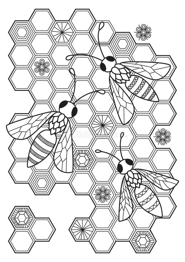 https://thumbs.dreamstime.com/b/bees-honeycombs-antistress-doodle-coloring-book-page-adult-zentangle-insect-black-white-illustration-stock-vector-175861503.jpg