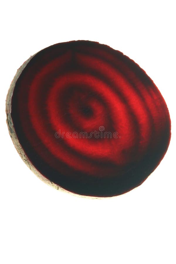 Beet isolated in white