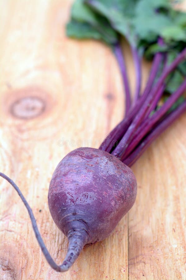Beet root stock image. Image of ingredient, root, leaf - 42727977