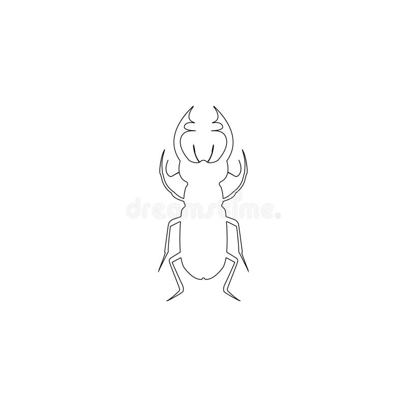 Darkling Beetle Stock Illustrations 83 Darkling Beetle Stock