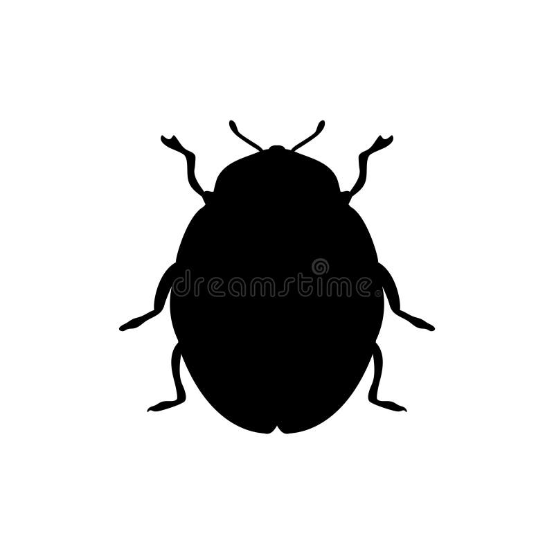 Beetle insect black silhouette animal