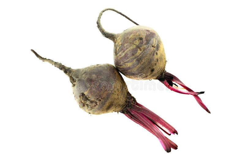 Beetroot Fresh Round Root Vegetable on an Isolated Background Healthy