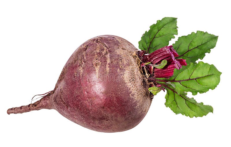Beetroot with Leaves Isolated Stock Photo Image of path, macro 111057434