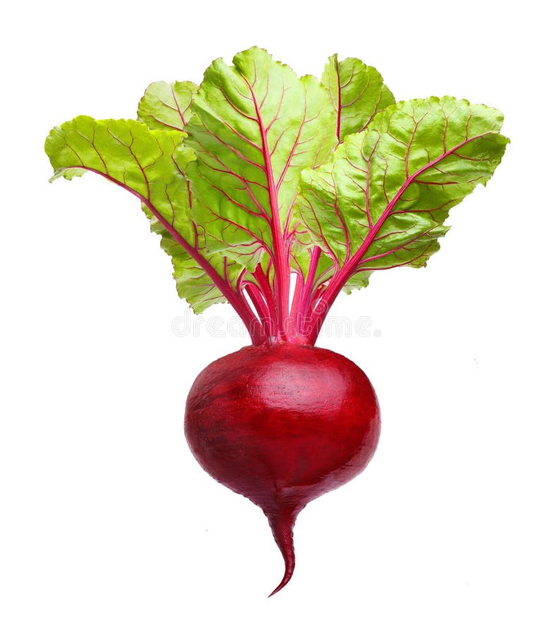 Beetroot with leaves stock photo. Image of macro, food 32901738