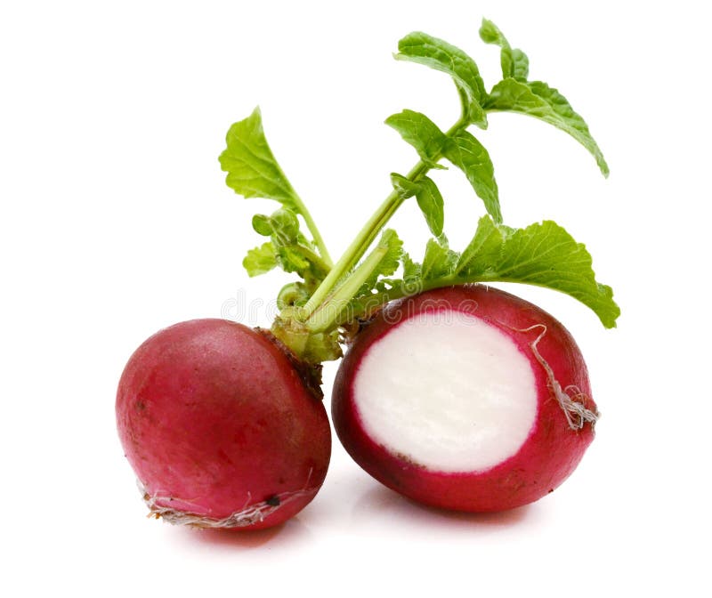 Beetroot with Leaves. Studio, Brown. Stock Image Image of beetroot, delicious 166003627