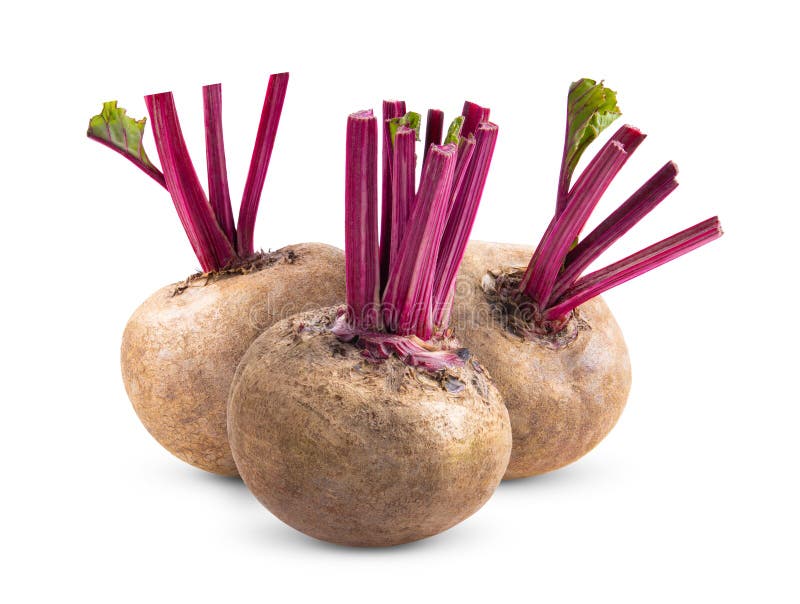 Beetroot with Leaves on White Background Stock Photo Image of root