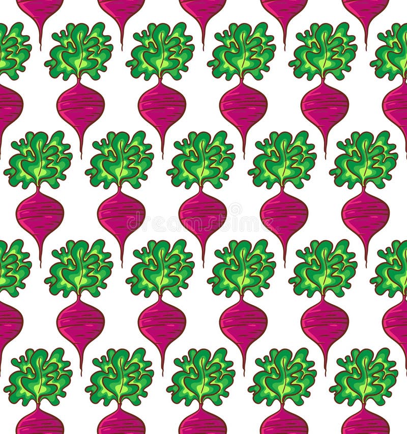 Beetroot pattern royalty free illustration Beetroot pattern royalty free illustration