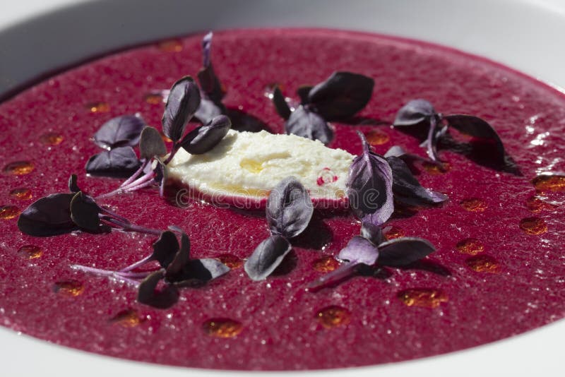 Beetroot Soup (Borscht) Garnished with Purple Basi Stock Photo - Image ...
