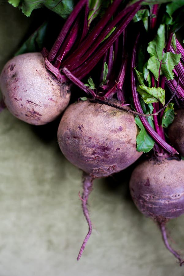 Beetrot fresco imagem de stock Beetrot fresco imagem de stock