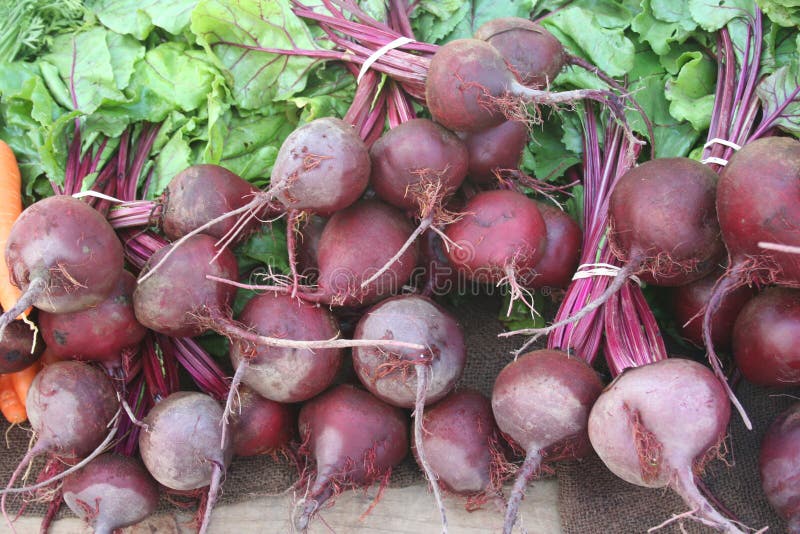 Beets in bunches