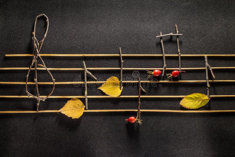 Befruktning för musikaliska anmärkningar Trämusikaliska anmärkningar och sidor arkivbild Befruktning för musikaliska anmärkningar Trämusikaliska anmärkningar och sidor arkivbild
