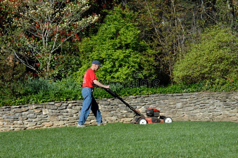 As spring begins to bloom and grass to grow, this man starts the mowing chores. Stone fence runs length of yard. As spring begins to bloom and grass to grow, this man starts the mowing chores. Stone fence runs length of yard.