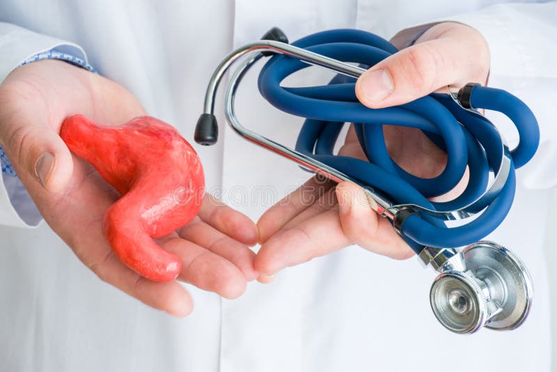 Begreppsfotodiagnostik och behandling av sjukdomar av magen och digestivkexområdet Iklätt vitt labblag för doktor i ett handH fotografering för bildbyråer Begreppsfotodiagnostik och behandling av sjukdomar av magen och digestivkexområdet Iklätt vitt labblag för doktor i ett handH fotografering för bildbyråer