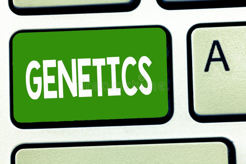 Begreppsmässig handhandstil som visar genetik Affärsfoto som ställer ut studien av ärftligheten och variationen av övertaget arkivbilder Begreppsmässig handhandstil som visar genetik Affärsfoto som ställer ut studien av ärftligheten och variationen av övertaget arkivbilder
