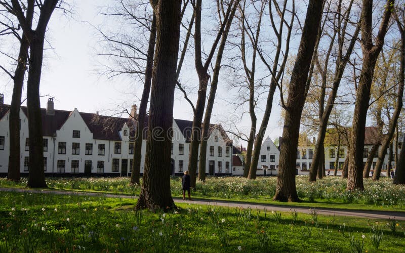 Beguinage στη Μπρυζ, Βέλγιο στοκ εικόνα με δικαίωμα ελεύθερης χρήσης Beguinage στη Μπρυζ, Βέλγιο στοκ εικόνα με δικαίωμα ελεύθερης χρήσης