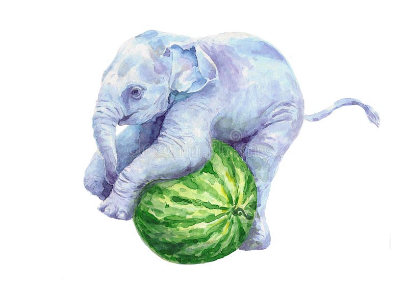 Behandla som ett barn elefantridningen på en grön vattenmelon royaltyfri illustrationer Behandla som ett barn elefantridningen på en grön vattenmelon royaltyfri illustrationer
