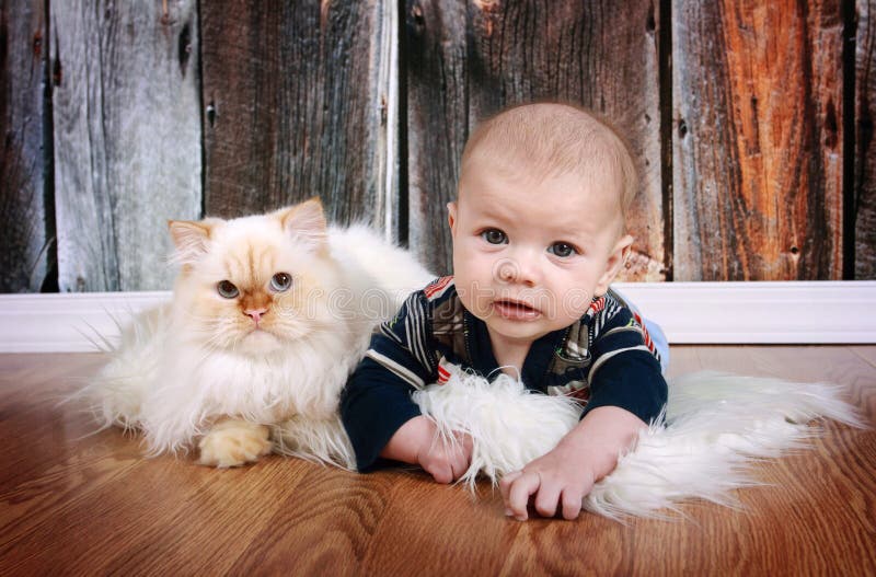 behandla som ett barn katten royaltyfri bild behandla som ett barn katten royaltyfri bild