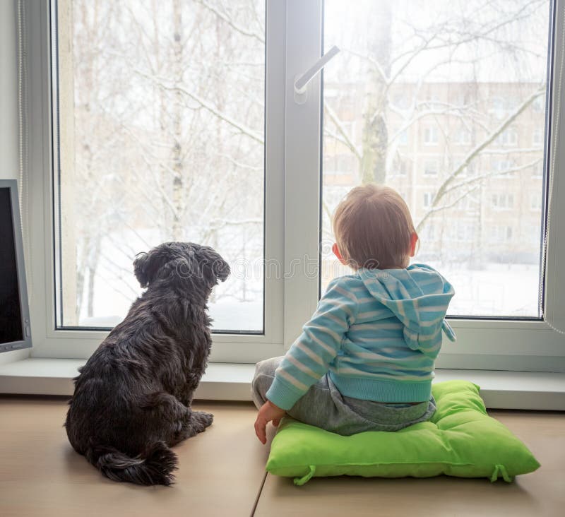 Behandla som ett barn med hunden som ser till och med ett fönster i vinter royaltyfria bilder