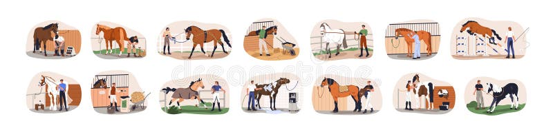 Horse care, treatment and training set. Equestrians with stallions in stables. Workers breeding, cleaning, grooming, feeding equine animals. Flat vector illustrations isolated on white background. Horse care, treatment and training set. Equestrians with stallions in stables. Workers breeding, cleaning, grooming, feeding equine animals. Flat vector illustrations isolated on white background.