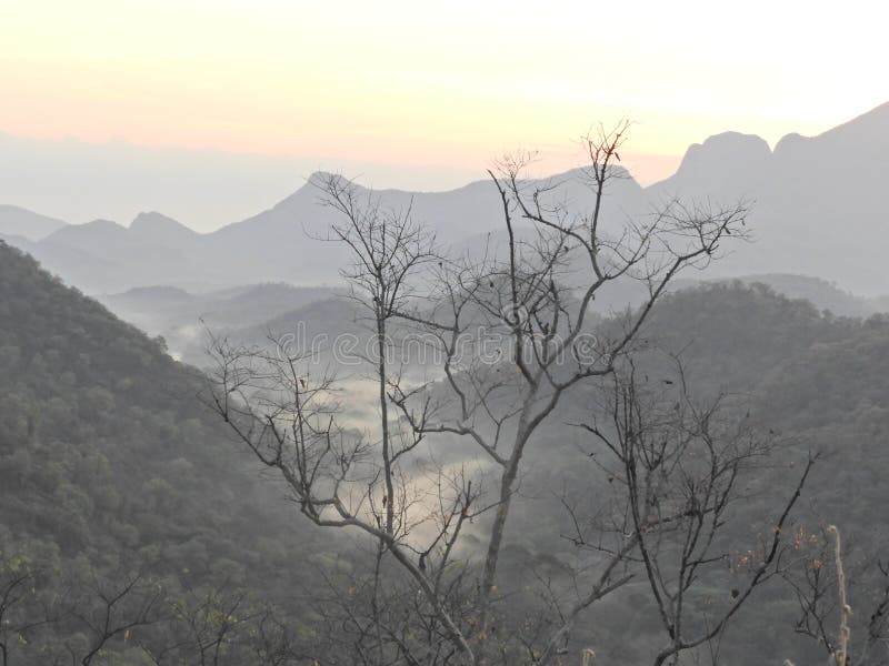 Behind amazing landscapes with leafless tree royalty free stock photography Behind amazing landscapes with leafless tree royalty free stock photography