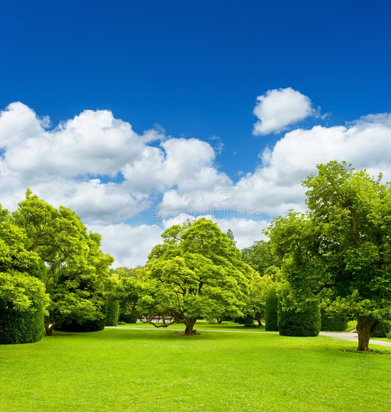 Bei alberi del parco sopra cielo blu. giardino convenzionale