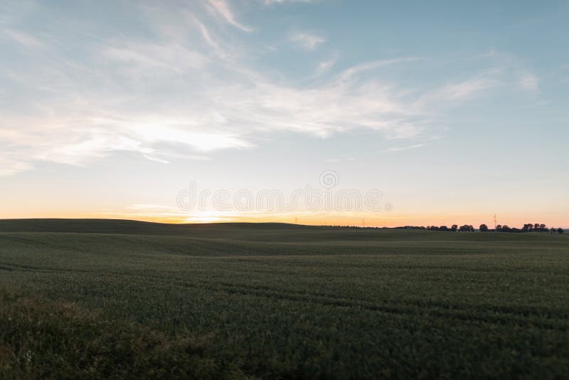 Bei cielo blu e prato con erba verde al tramonto Tramonto rosa di stupore di estate sull'orizzonte Campagna del paesaggio fotografie stock Bei cielo blu e prato con erba verde al tramonto Tramonto rosa di stupore di estate sull'orizzonte Campagna del paesaggio fotografie stock
