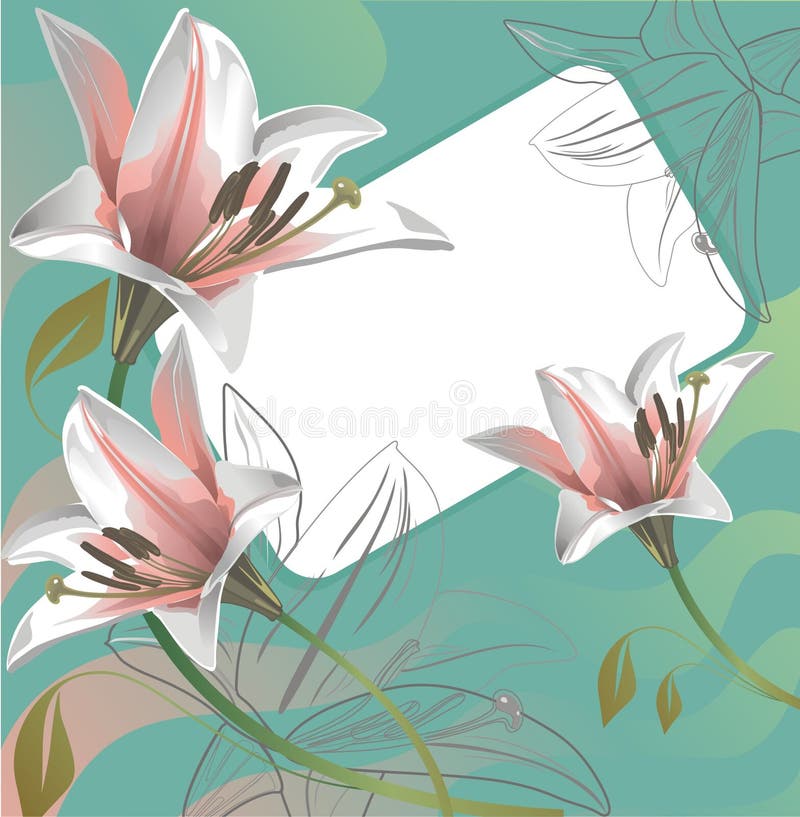 Bei gigli e cartolina d'auguri illustrazione di stock Bei gigli e cartolina d'auguri illustrazione di stock