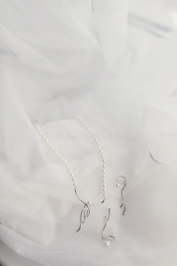 Bei gioielli alla moda sul vestito da sposa di seta di lusso expensiv fotografia stock libera da diritti Bei gioielli alla moda sul vestito da sposa di seta di lusso expensiv fotografia stock libera da diritti