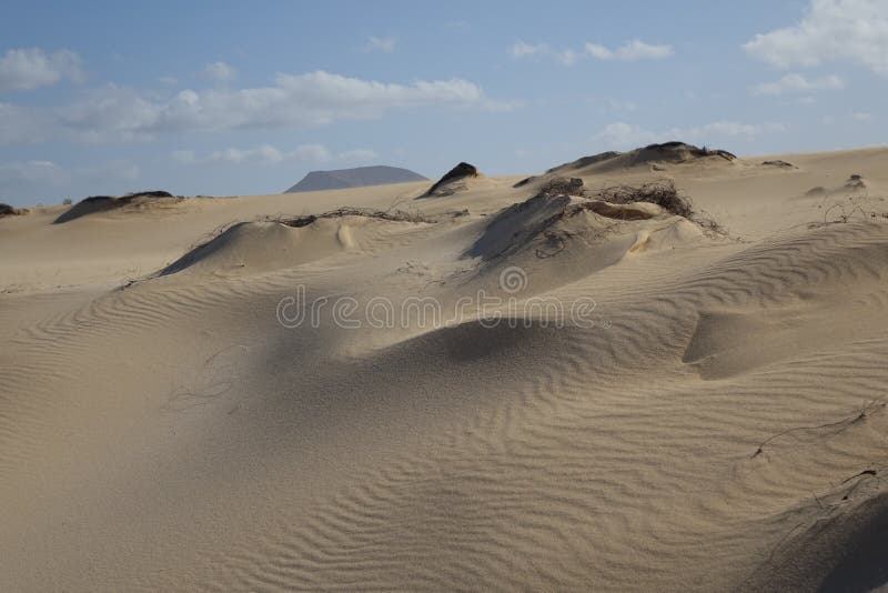Bei modelli nella sabbia nel parco naturale in Corralejo Fuerteventura Spagna fotografie stock libere da diritti Bei modelli nella sabbia nel parco naturale in Corralejo Fuerteventura Spagna fotografie stock libere da diritti