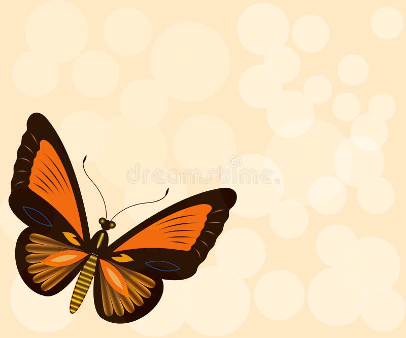 Beige Background With Butterfly Stock Vector - Illustration of
