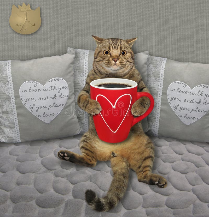 Cat Drinks Coffee Near Alarm Clock 2 Stock Photo Image of humor, fork