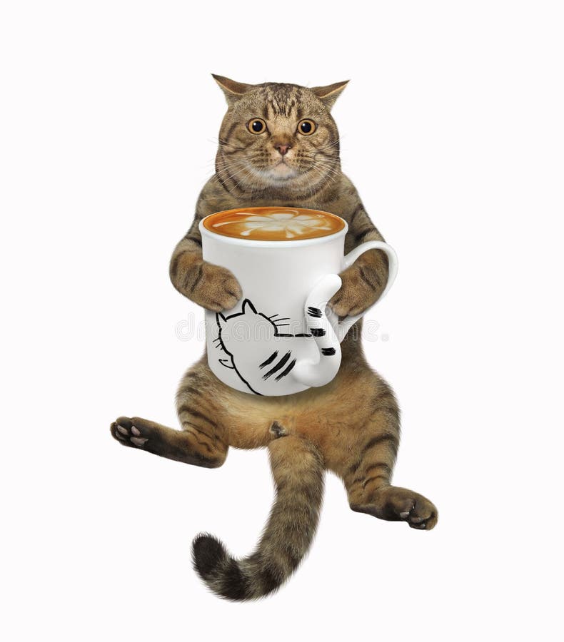 Cat Drinks Coffee With Cream 2 Stock Image Image of concept, biscuit