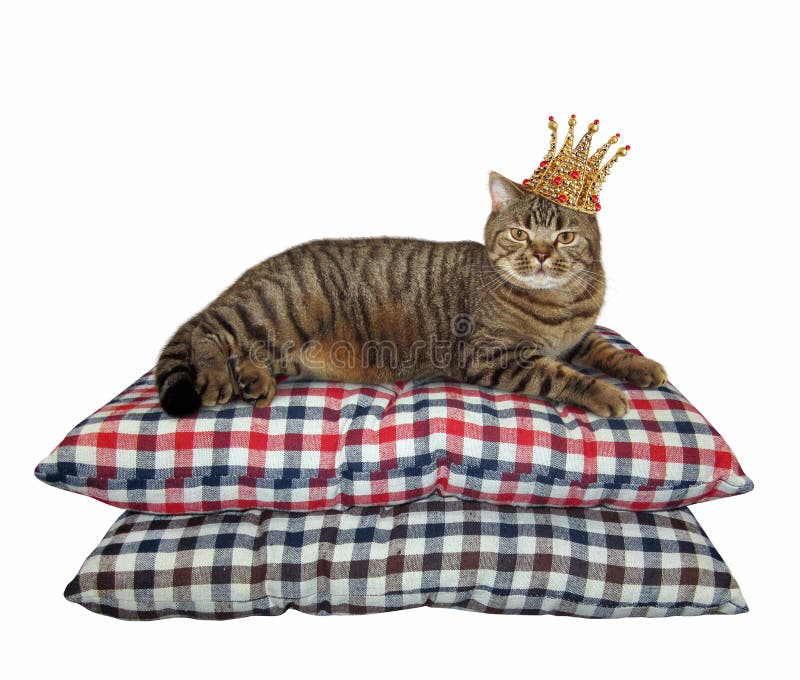 84 Royal  Pillow Crown Photos Free Royalty Free Stock 