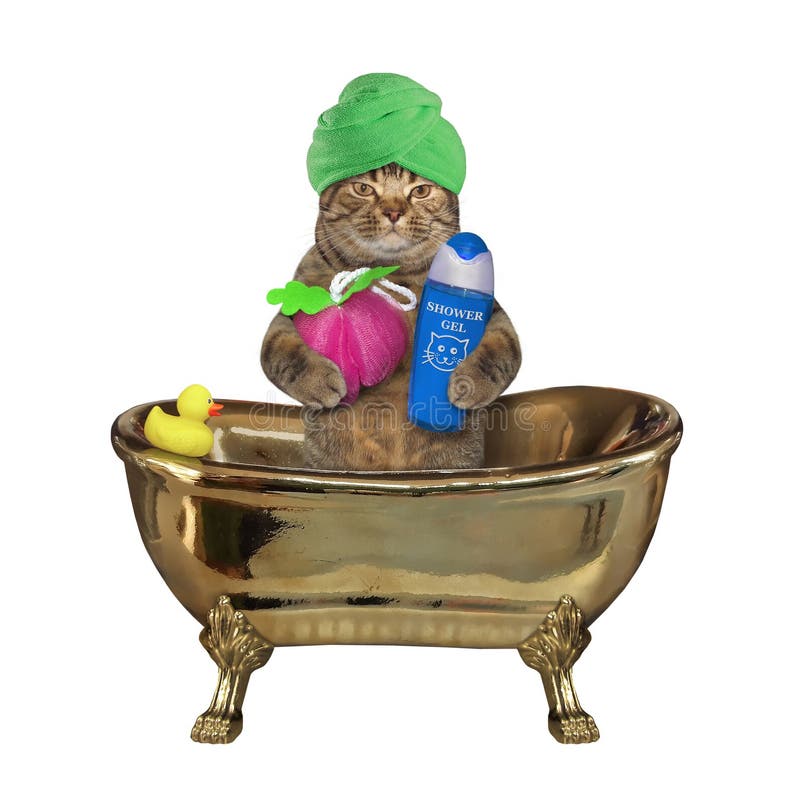 The beige cat with a green towel around his head is taking a bath in a gold bathtub. It holds a star  shaped sponge and a bottle of shampoo.  White background. Isolated. The beige cat with a green towel around his head is taking a bath in a gold bathtub. It holds a star  shaped sponge and a bottle of shampoo.  White background. Isolated