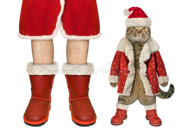 Cat near Santa Claus 2