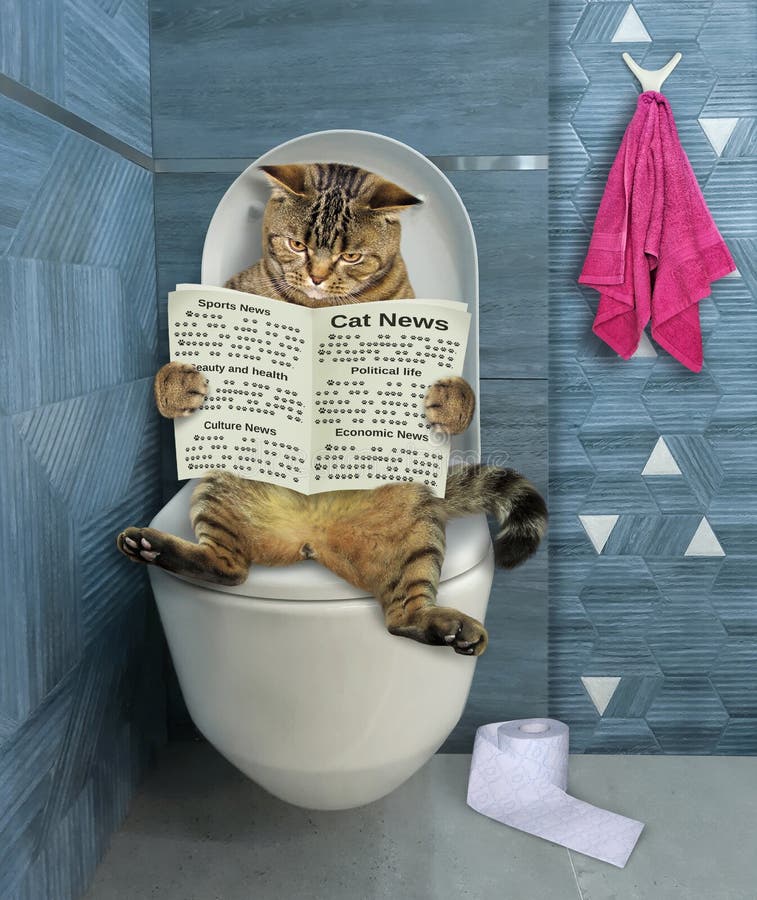 Cat On Toilet Bowl Reading Stock Image. Image Of Rest - 209217409