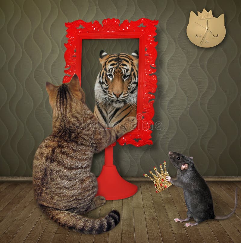 Lion mirror cat Cat With
