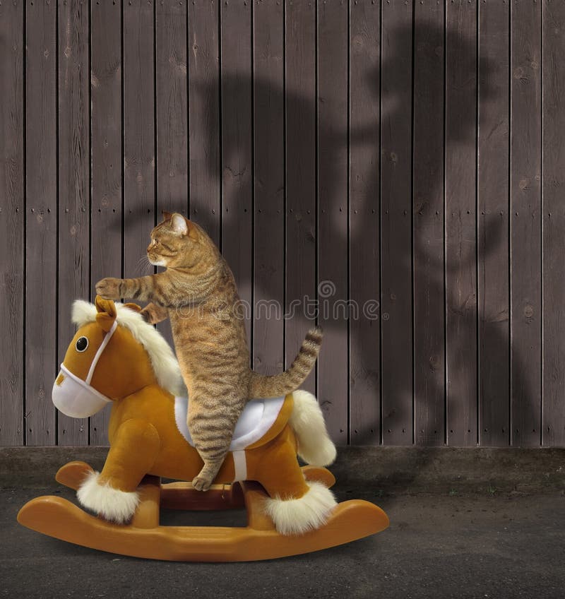 Cat swinging on toy rocking horse 3