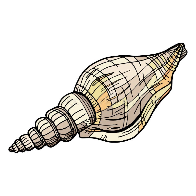 Beige colored spiral seashell. Hand drawn vector illustration of underwater shell. Nautical element isolated on white vector illustration