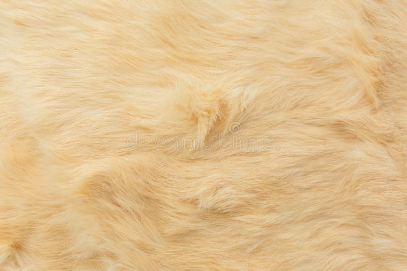 Rabbit Fur Texture Images – Browse 4,876 Stock Photos, Vectors, and Video