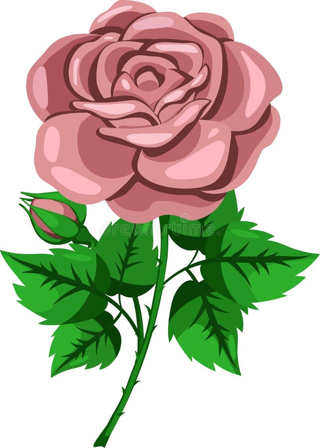 Beige Rose Flower Vector Illustration Stock Vector - Illustration of ...