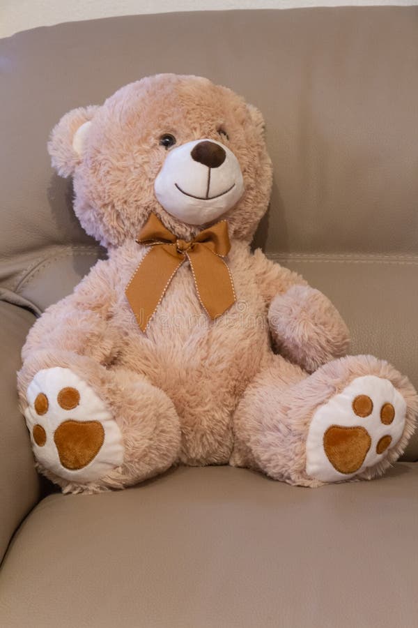 Teddy bear on a sofa stock photo. Image of gift, cute 200888238
